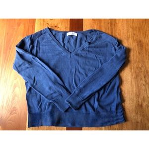 Everlane Blue Soft Cotton V Neck Sweater : S